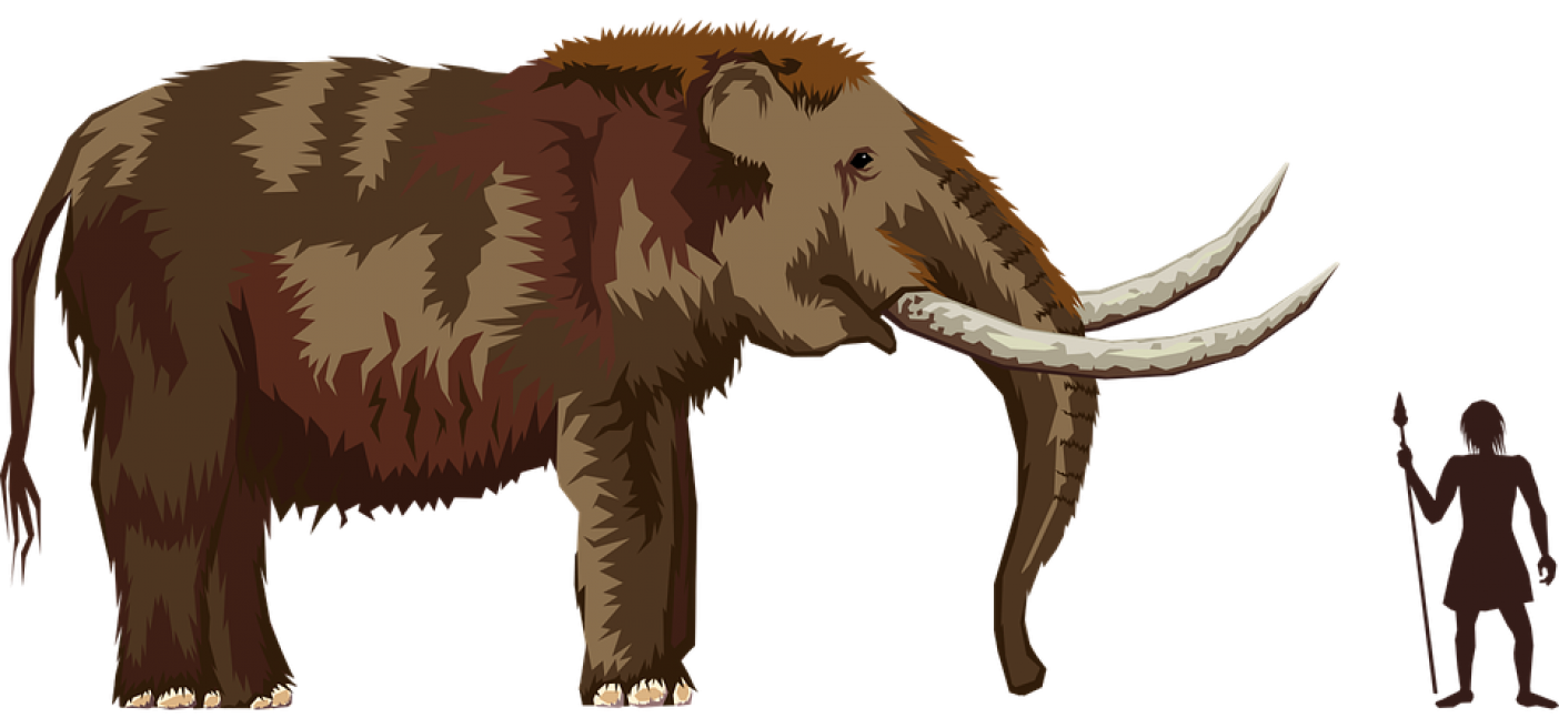 mamutas ir medziotojas